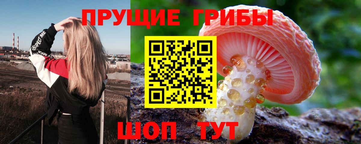 Галлюциногенные грибы прущие грибы  как найти закладки  Котлас  Вход с VPN  Псилоцибиновые грибы MAGIC MUSHROOMS 