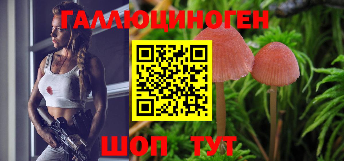 Псилоцибиновые грибы GOLDEN TEACHER Котлас